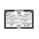 Surety Bond Naperville